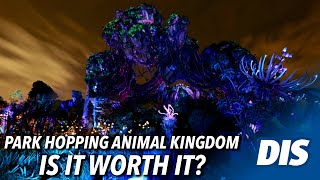 Is It Worth It? Park Hopping at Disney's Animal Kingdom - YouTube