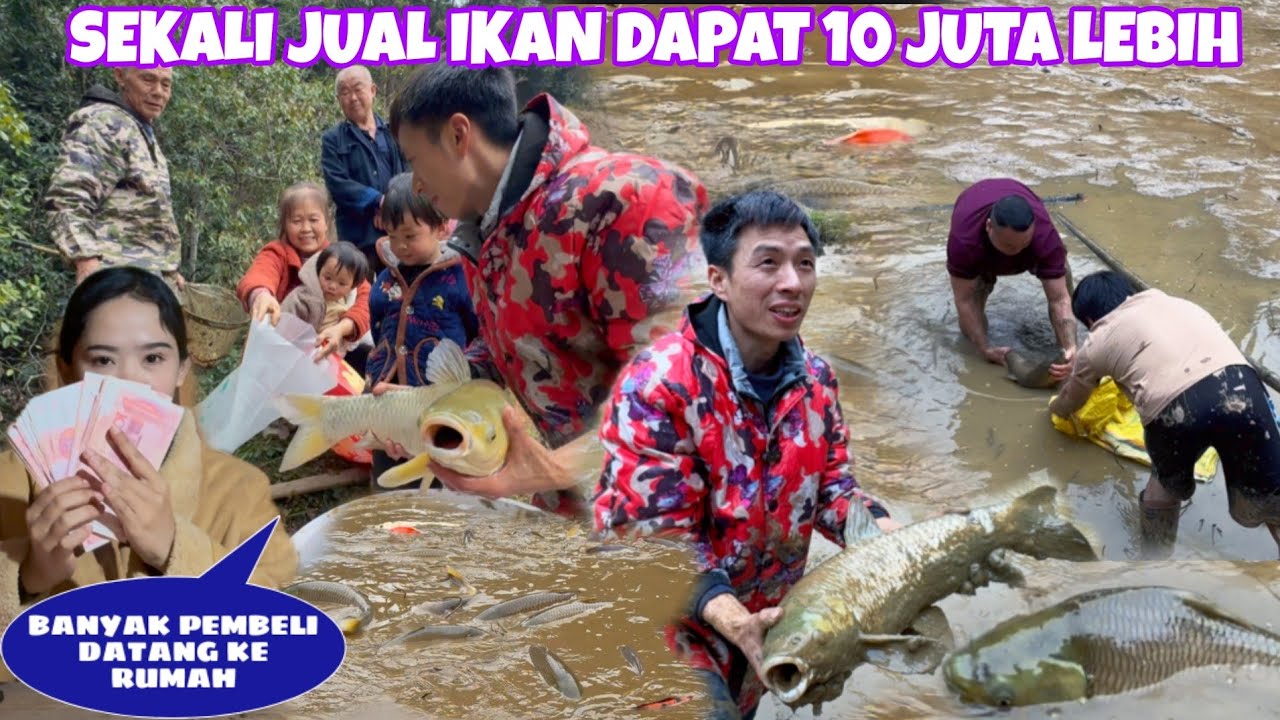 AKHIRNYA PANEN SEMUA IKAN DIKOLAM DESA CHINA, DILUAR DUGAAN SEKALI JUAL IKAN DAPAT 10 JUTA LEBIH