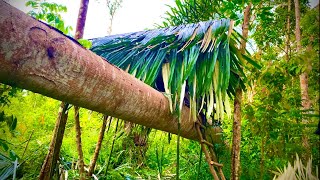Membuat shelter diatas pohon BESAR || atap daun nira