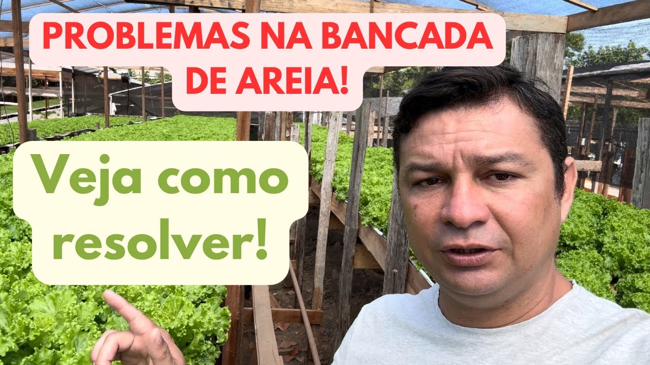 Veja os problema da bancada de areia