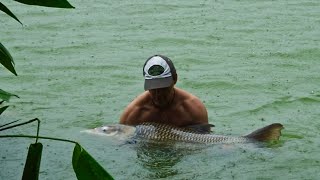 Gillhams Fishing Resort: Siamese carp in a thunderstorm