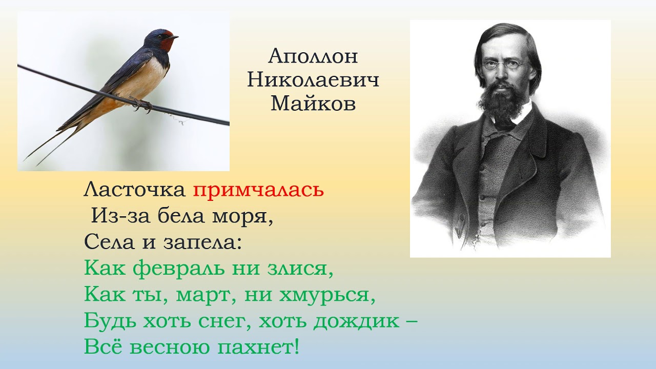 Ласточка примчалась 1 класс школа россии презентация. Аполлон Николаевич Майков ласточки. Стих Ласточка примчалась Майков. Аполлон Николаевич Майков Ласточка примчалась…. Стихотворение Майкова ласточки.