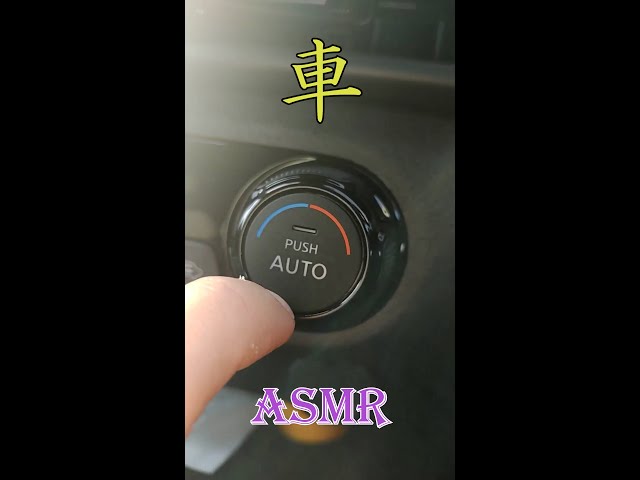 【ASMR】車の中でカリカリ