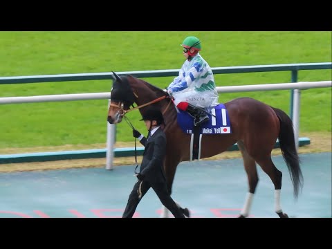 【現地】2024/3/24 G1 高松宮記念 本馬場入場 【メイケイエール拍手喝采】