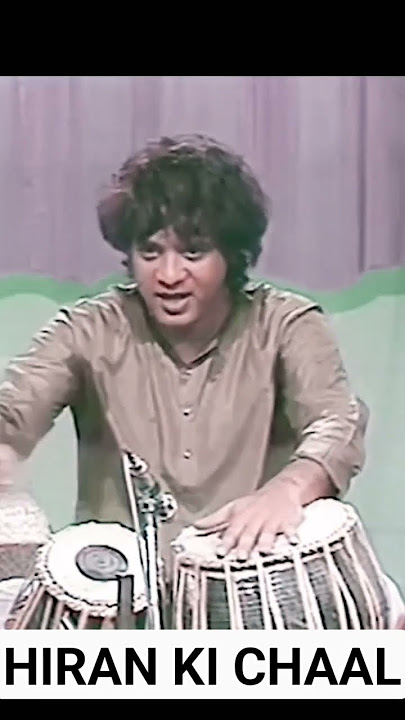 Ustad Zakir Hussain g Solo Tabla ( HIRAN KI CHAAL)