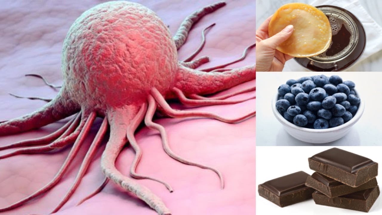 health insurance 6 Foods and Drinks With Potent Cancer Fighting Properties Backed By Science
