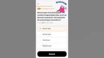 Which layer in OverProtocol contains deprecated data, not essential for executing transactions?