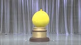 カブト対クワガタ Youtube