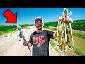 BULLFROG Hunting at My Farm with a MINI CROSSBOW!!! (Catch Clean Cook)
