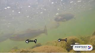 Heyab A. Stormwater PSA (Sediment)