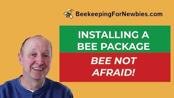 Installing A New Bee Package