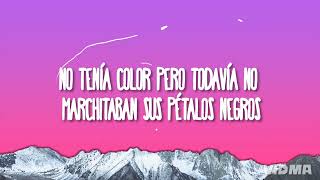 Andrés Cepeda & Manuel Medrano - Una Flor (Letra/Lyrics)