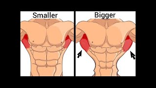 Exercises to Get V Shape Back Workout   V Back تمارين الظهر