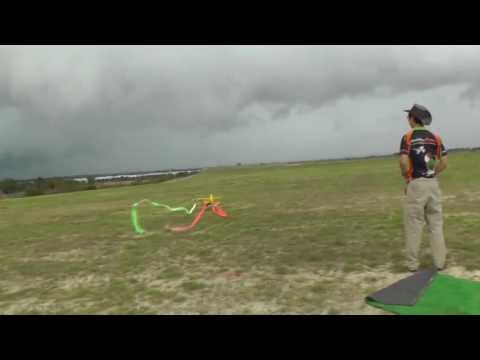 HOBBYZONE.COM.AU Dynam Pitts Python
