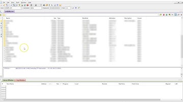 FTP login with CuteFTP