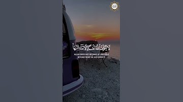 سورة الطلاق قارئ الشيخ / رعد الكردي