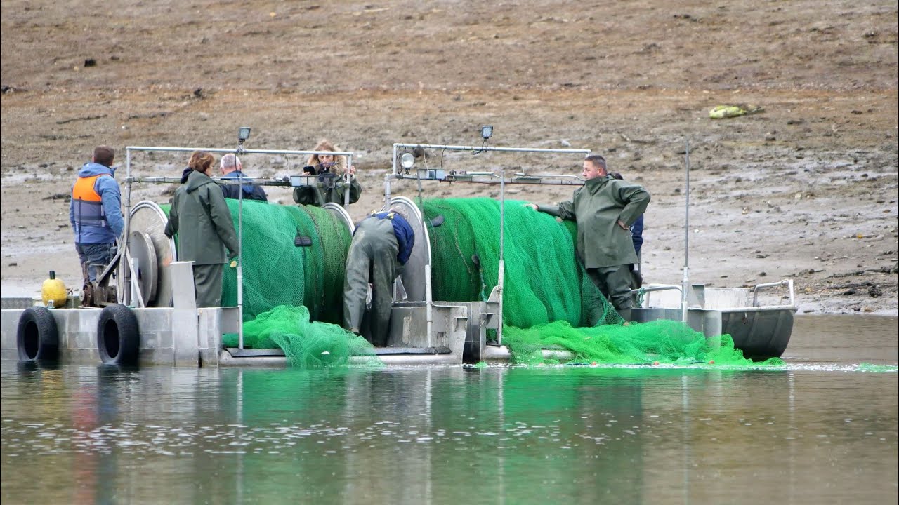 Ellertshäuser See wurde abgefischt: Aber wem gehören eigentlich die Fische?