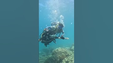 Unbelievable Scuba Diving in Andaman - Dive into a World of Wonders