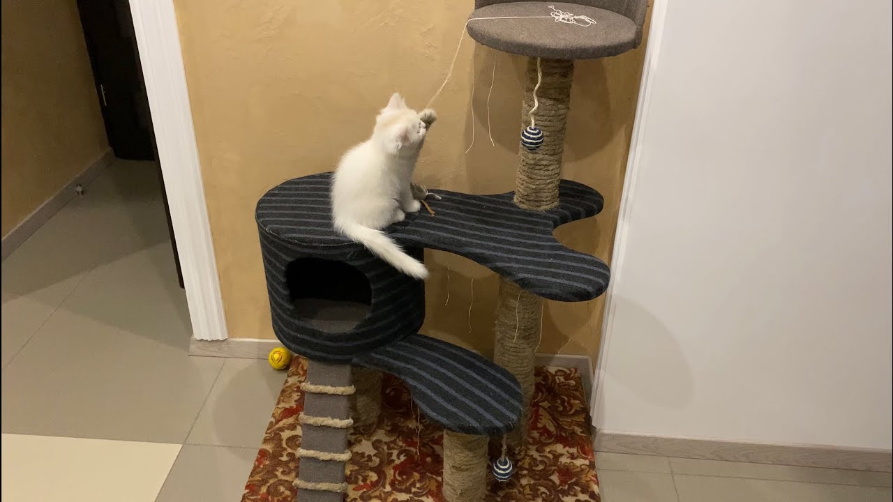 ⁣Когтеточка своими руками, DIY play area for cats