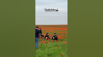 Thumbnail of Ер тұран 🎬 | #kazakhstan #рекомендации #music #домбыра #shortsvideo #shorts #ертұран