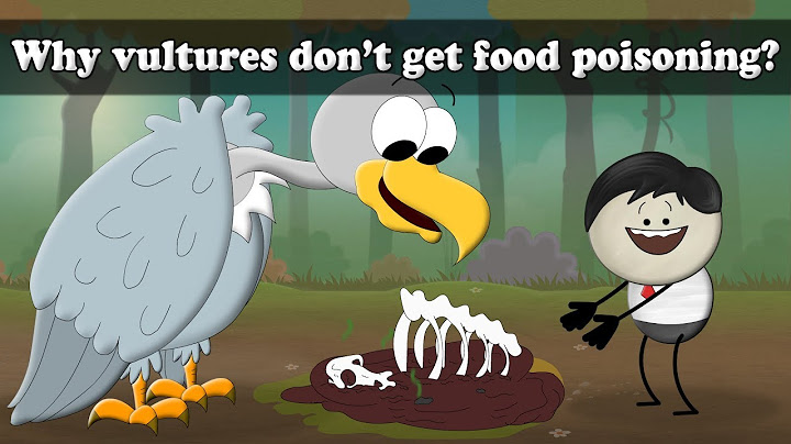 Why vultures don't get food poisoning? | #aumsum #kids #science #education #children