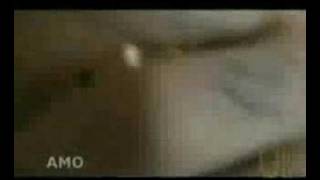 Video de A.j en el show de Kaci Brown