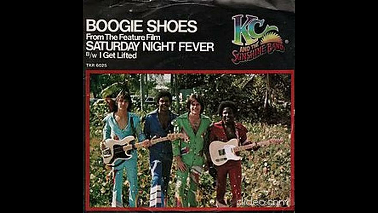 What Do You Think of This Song? 