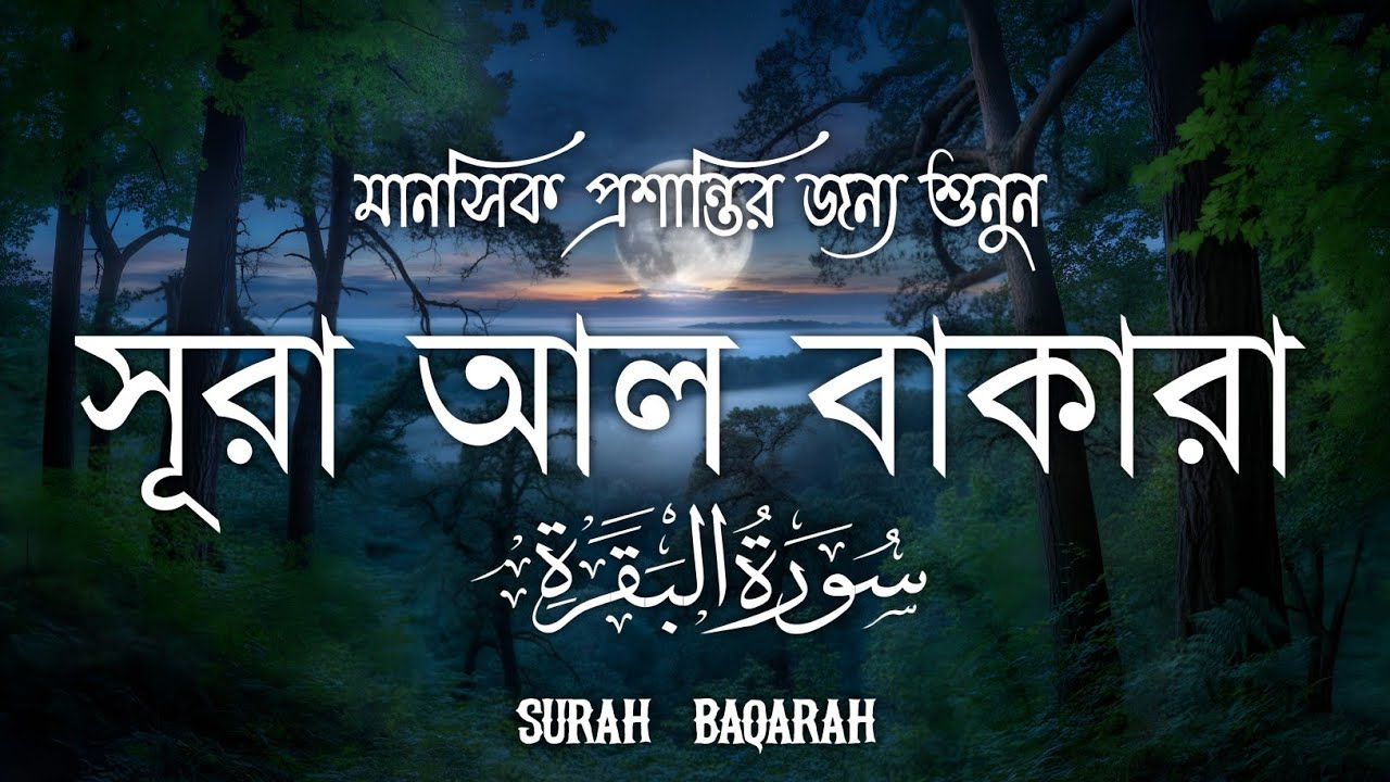 ঘরের উন্নতির জন্য সূরা বাকারা প্রতিদিন শুনুন I Surah Al Baqarah Full Quran Recitation | Alaa Aqel