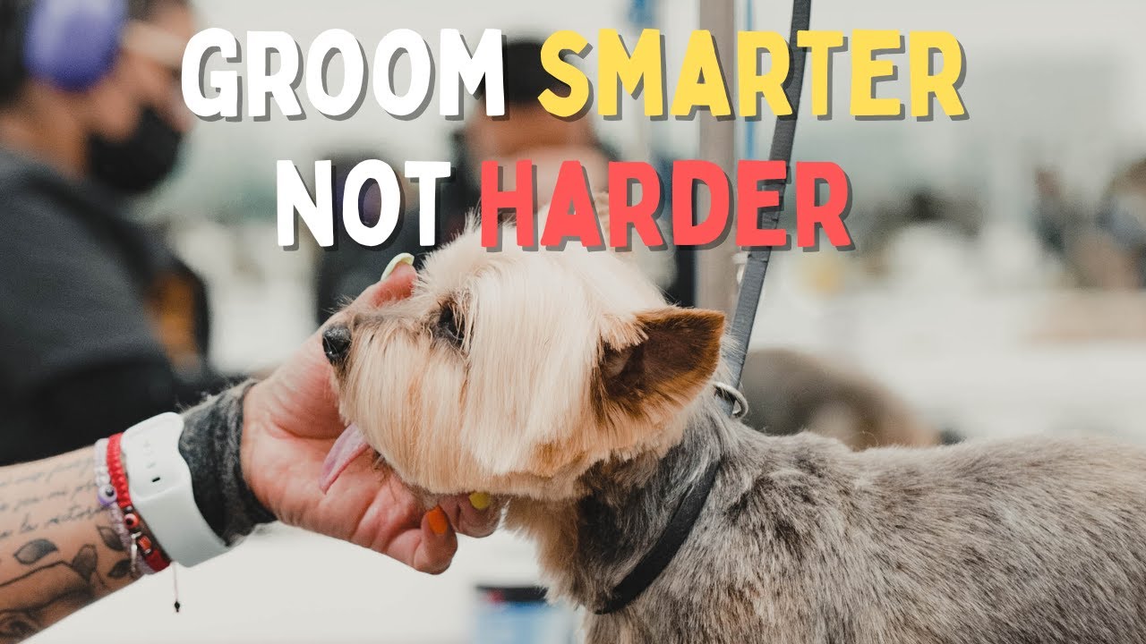 Groom Smarter, Not Harder – My Secret to Fast & Flawless Grooms!