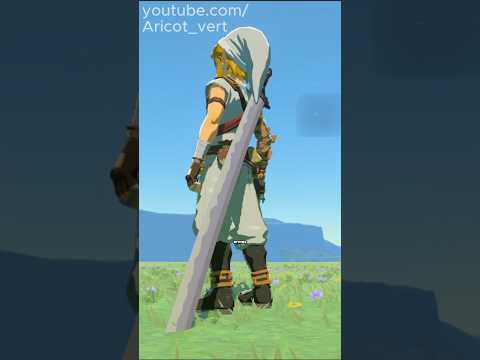 Le meilleur mod de TOTK #zelda #nintendo #totk #botw #zeldatotk #zeldabotw