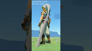 Le meilleur mod de TOTK #zelda #nintendo #totk #botw #zeldatotk #zeldabotw