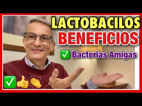 LACTOBACILLUS 👉 BENEFICIOS ❤️ MICROBIOMA ⭐️BACTERIAS AMIGABLES