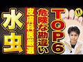 水虫これダメ絶対6選｜原因・検査・市販薬・内服/外用の選び方まで完全解説！