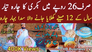 Bakri Ka Charah | Goat fodder | best goat food | بکری کا چارہ | Sada bahar chara | HB Business TV