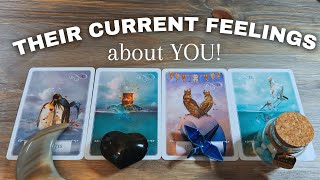 💕😲💕Their Feelings RIGHT NOW!!! * Pick A Card LOVE Tarot Reading * Timeless!