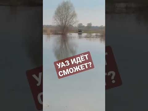 УАЗ смело прёт…