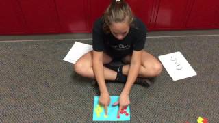 Integer Chips by Zarian - 5th Period - 2016 Net Worth
