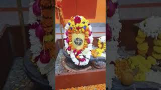 Hum to baba ke bharose Song shiv ji song raebareli shortvideo youtubeshorts devotional viral