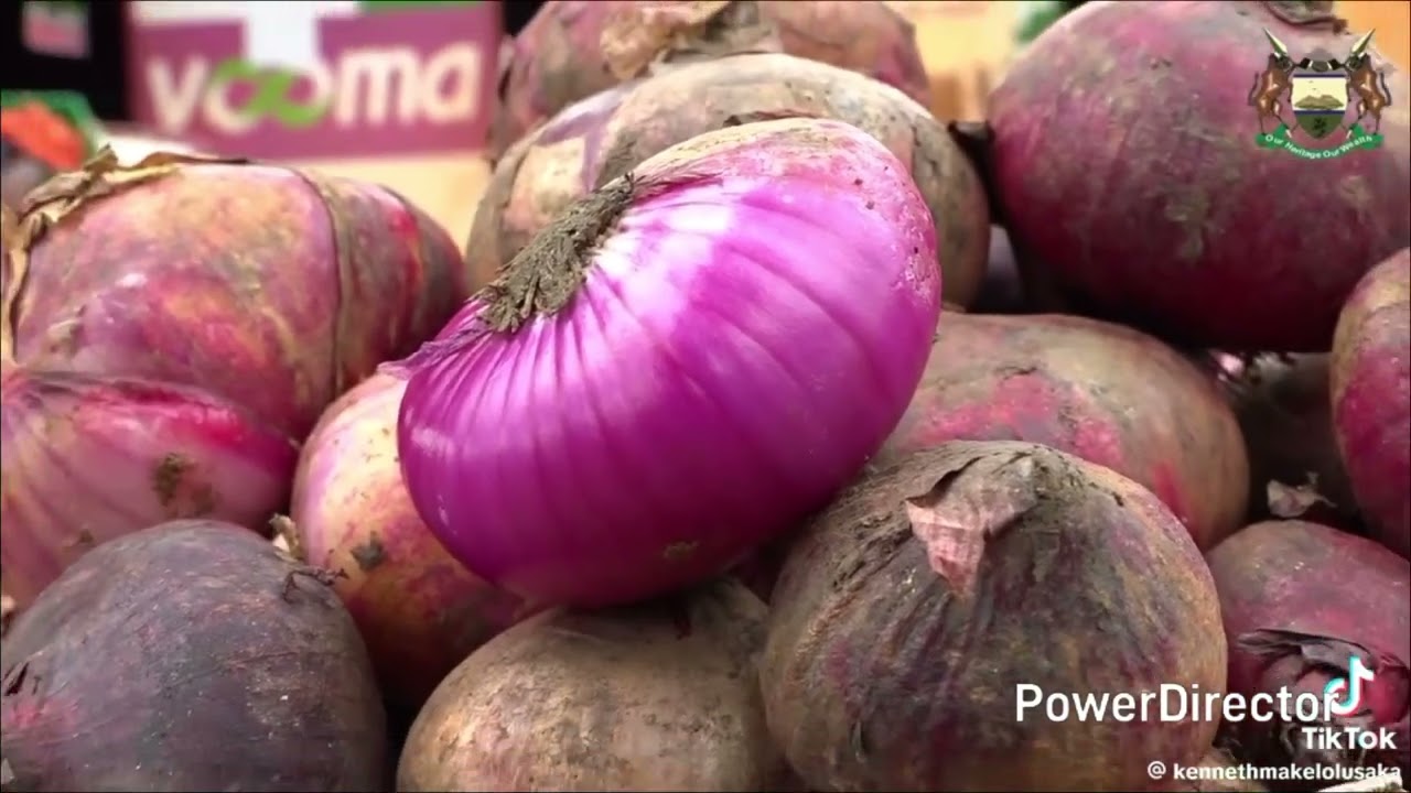 Katila music (najivunia bungoma yetu)official video mp3