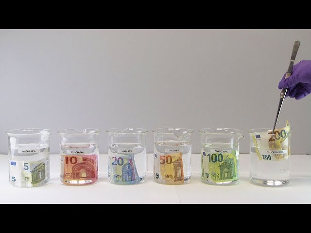 Euro Banknotes - Made to last class=