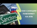 Как повлияют санкции на экономику сельского хозяйства: кредитование, сельхозтехника, экспорт