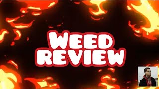 Mimosa; Glass House Farms | WEED REVIEW | DeTraprio