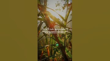 أية الكرسي #سورة_البقرة #قران_كريم 