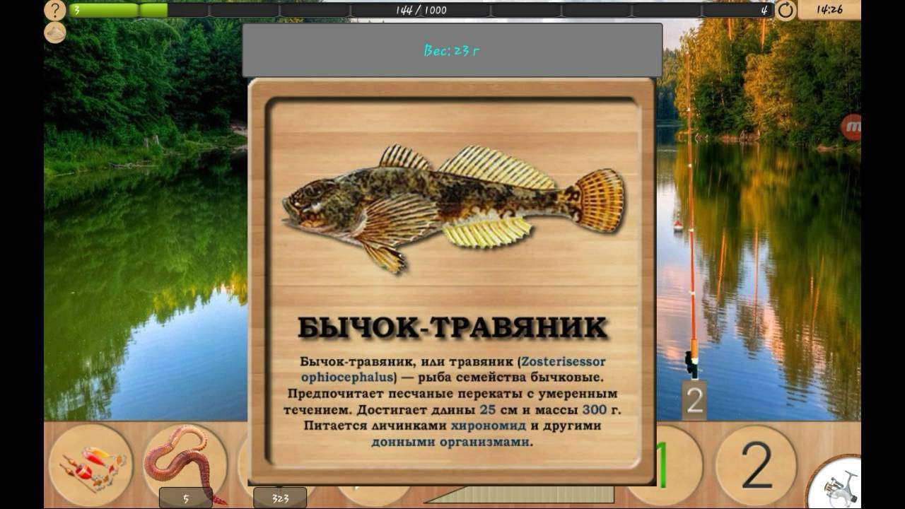 Реальная рыбалка лесное озеро на что ловить. Реальная рыбалка. Бычок травяник реальная рыбалка. Игра реальная рыбалка. Реальная рыбалка приманки.
