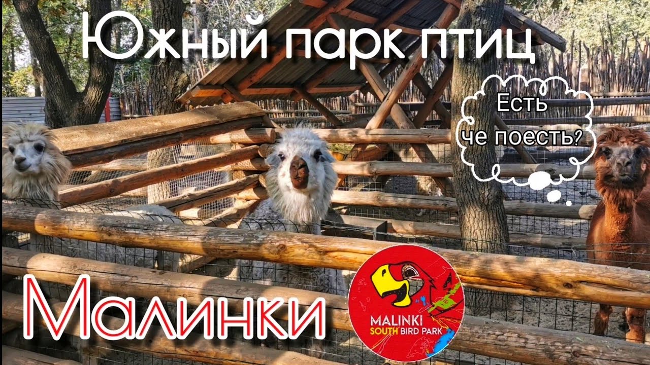 Малинки Парк Птиц Фото