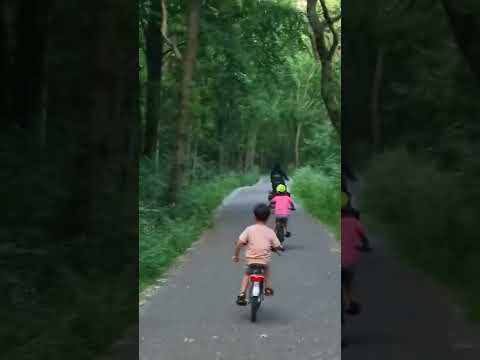 This is the Netherlands in the Summer | Cycling from home to Castricum aan zee #cycling