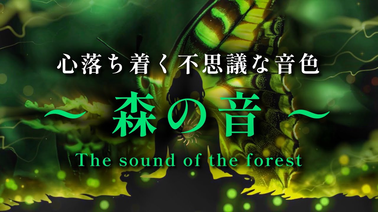 【ASMR 🌿自然音】心静まる森の音/ReluxBGM/脳のノイズを消す528hz#睡眠BGM#sleep#relaxingmusic#sleepmusic#asmr#快眠#不眠症解消#ストレス軽減