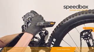 NEW! Easy Installation of SpeedBox 1.0 B.Tuning for Avinox (M1)