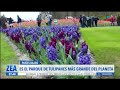 Así luce Keukenhof, parque de tulipanes más grande del mundo | Noticias con Francisco Zea