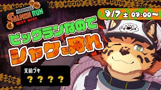 【サーモンランNW/野良/＃44】祭り 高鳴り 悪即斬【樫城槌/Vtuber】